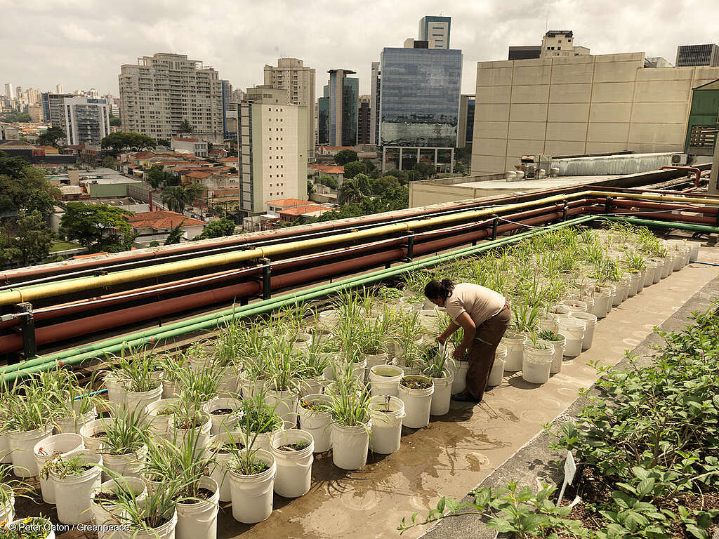 Vivir en lo urbano: reflexiones en el Día Mundial de las Ciudades Vivir en lo urbano: reflexiones en el Día Mundial de las Ciudades