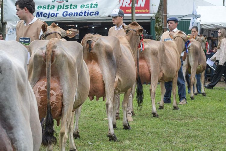 Comienza la Expo San José, la más importante de la lechería nacional