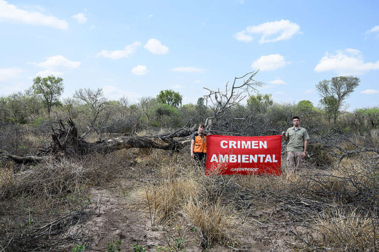 El 80% de los argentinos cree que el gobierno debería hacer más contra la deforestación