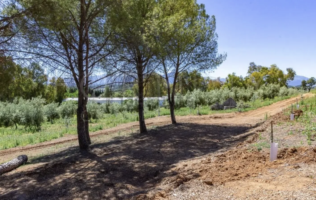 El cortijo que está a 50 minutos de Málaga perfecto para vivir: 587m² y 900.000 euros