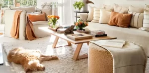 Cómo limpiar el salón correctamente: guía completa con trucos