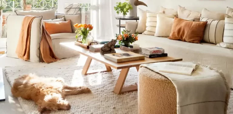 Cómo limpiar el salón correctamente: guía completa con trucos