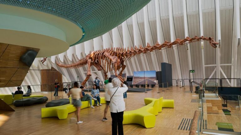 Dinosaurios de la Patagonia en CaixaForum València
