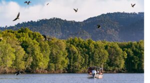 Selvas milenarias y culturas vivas: el lado sostenible de Malasia