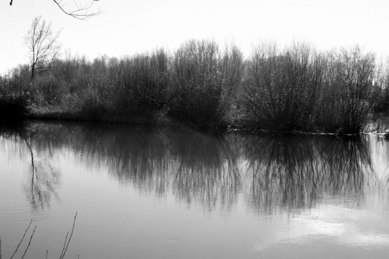Jesús Ruiz Nestosa invita a un viaje fotográfico por “El Tormes de Lazarillo”
