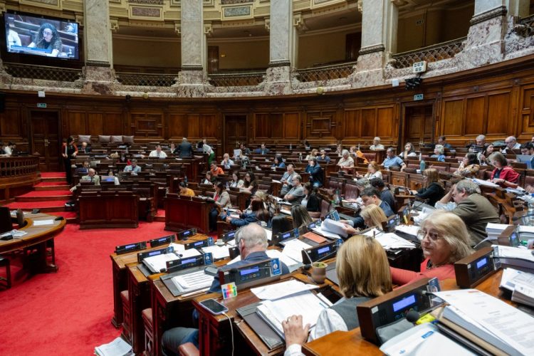 Sable en mano y carabina a la espalda
