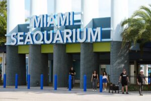 El Seaquarium de Miami cierra sus puertas: qué cambia y qué pasará con sus animales