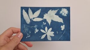 Taller de cianotipia en casa: cómo pintar con luz