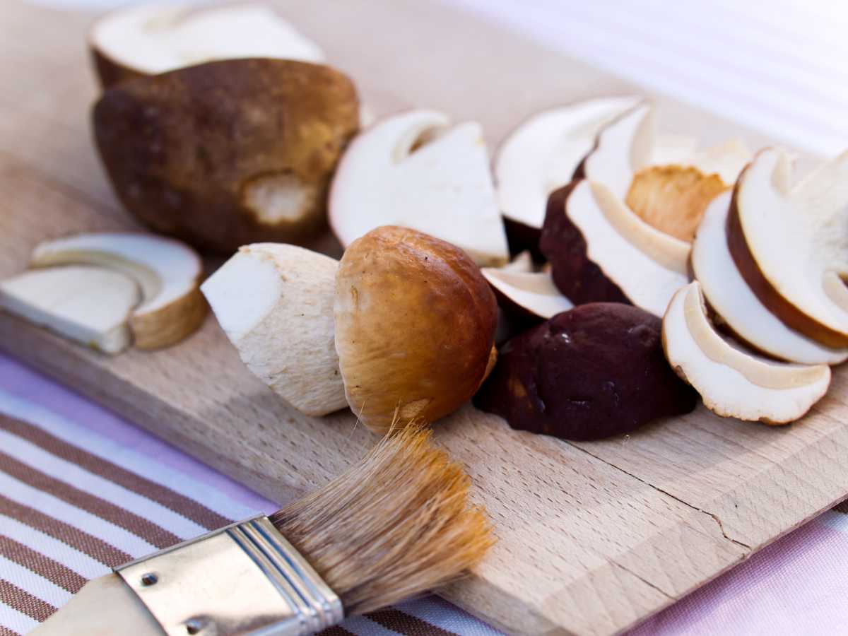 Crema de boletus Crema de boletus