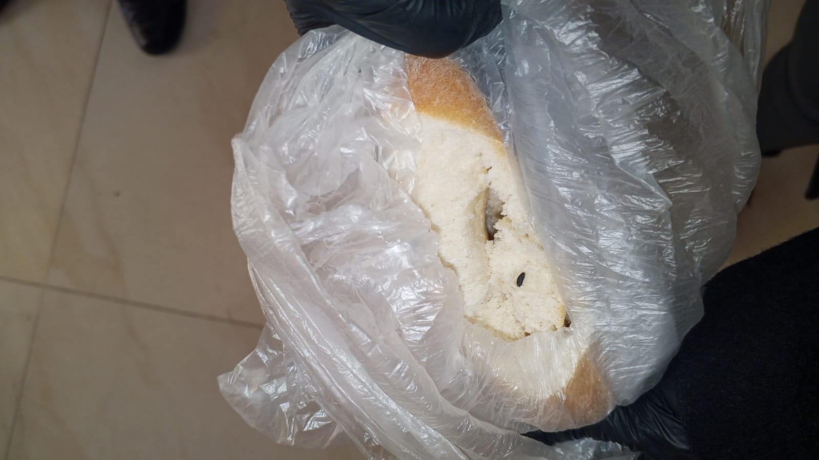 SUCRE: PANES CON EXCREMENTO DE RATAS; CLAUSURAN PANADERÍA TRAS OPERATIVO DE CONTROL || Autoridades anuncian sanciones y refuerzan inspecciones en puestos de venta del Mercado Morro SUCRE: PANES CON EXCREMENTO DE RATAS; CLAUSURAN PANADERÍA TRAS OPERATIVO DE CONTROL || Autoridades anuncian sanciones y refuerzan inspecciones en puestos de venta del Mercado Morro