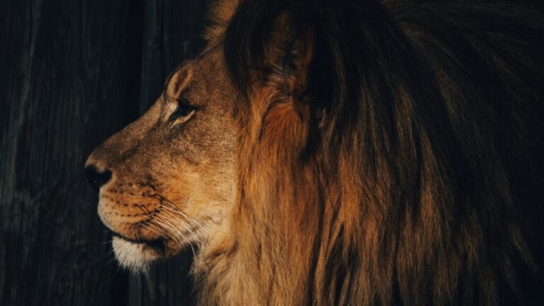 La gracia nos enseñó a temer a Dios