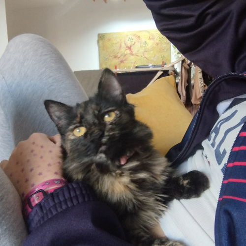 Historias que dejan huella: Lluna y Emilio