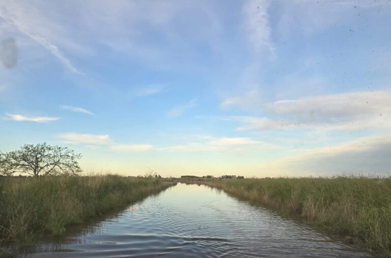 Un pozo mantiene aisladas a varias familias rurales de Bragado y, en vez de taparlo, el municipio prepara todo para la fiesta del pueblo: “Pareciera que la orden es no hacer nada”, relata una productora
