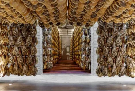 Soria, epicentro mundial de la micología, la gastronomía y al turismo con alma latina