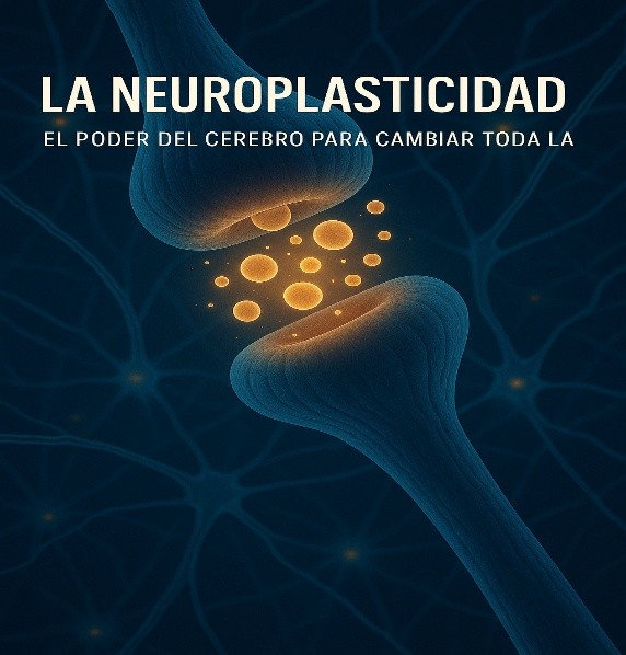 neuroplasticidad