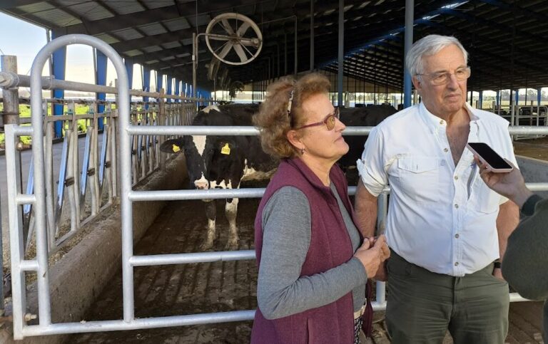 Intensificación a paso firme: El tambo Mitikile fue pionero en la incorporación del “techo” en Arenaza en 2022 y nunca se arrepintió, al punto que ya levantó otros dos nuevos galpones