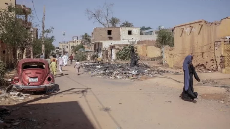 Organizaciones internacionales y países islámicos condenan masacre de paramilitares en Sudán
