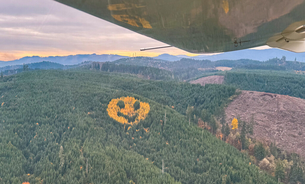 En Oregón hay un bosque con un tatuaje que aparece cada otoño: un emoji gigante