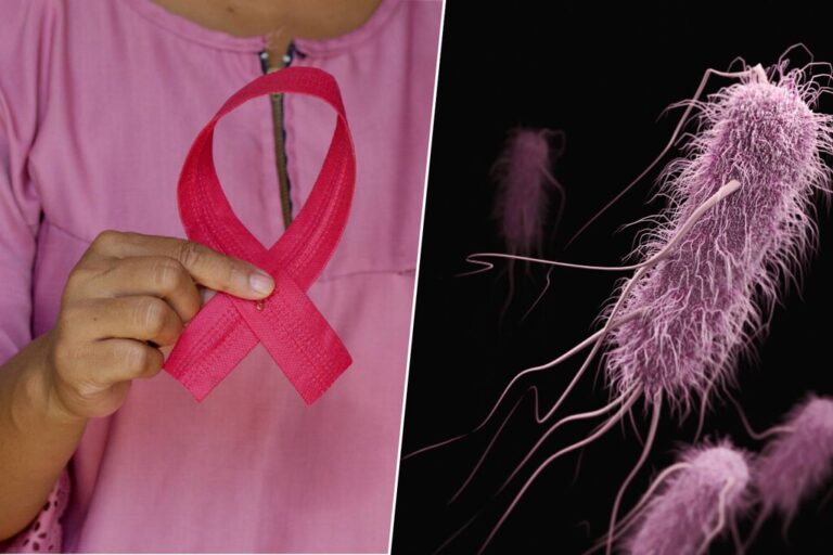 Llevamos 150 años creyendo que las bacterias son un arma contra los tumores. Y al fin hemos descubierto cómo