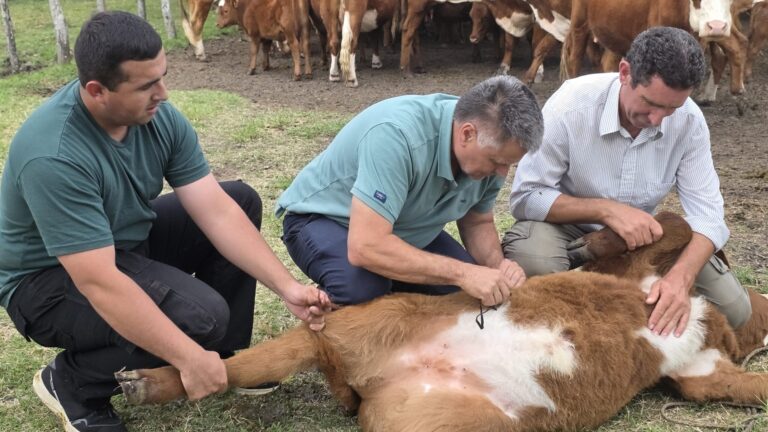 ¿Qué significa ser garrapatero? “Acompañar, ordenar, despejar dudas y ser psicólogo en algunos casos”, afirma Ariel Huck, que además de paratécnico es también ganadero