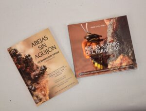 El maravilloso mundo de las meliponas