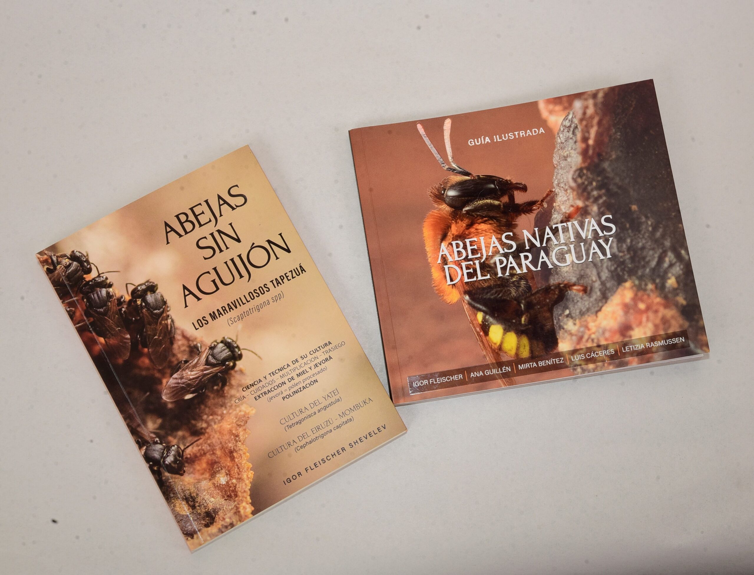 El maravilloso mundo de las meliponas