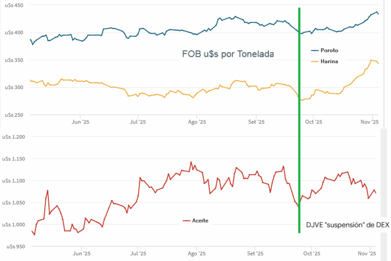 Con la “suspensión” de retenciones la economía argentina perdió una montaña de divisas porque los DJVE quedaron congelados con precios bajos