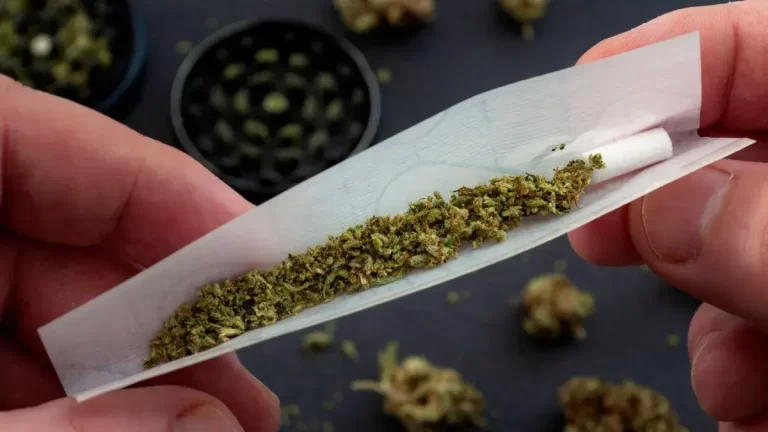 Factores genéticos en el efecto del cannabis: lo que revela la ciencia