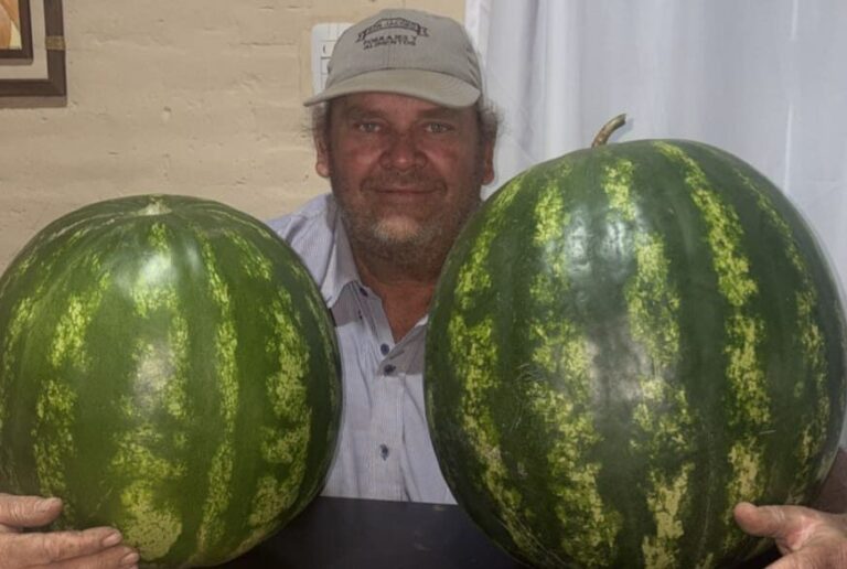 En la crisis del 2001 tuvo que dejar el algodón del Chaco y se fue a Formosa a producir sandías y y zapallos: “Ya no proyecto, en este país hay que vivir el momento”, recomienda Pocho Resler