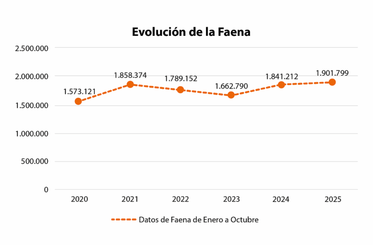 Garantizado el Abastecimiento de Carne Vacuna para las Fiestas de Fin de Año en Paraguay
