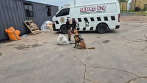 Paraguay: DNIT intercepta casi 5 kilos de sustancia ilícita en envío postal en el aeropuerto