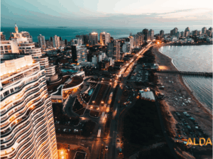 ¿Presagio de buena temporada en Punta? /Se confirma alta demanda por locales comerciales 