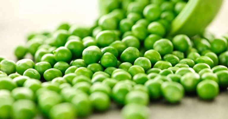 calorias-de-legumbres-y-cereales