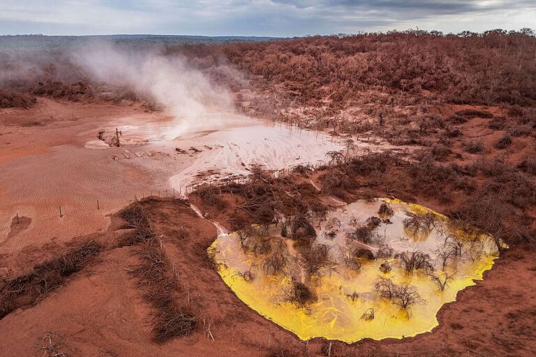 Greenpeace denuncia más de 20 hectáreas contaminadas en un bosque salteño