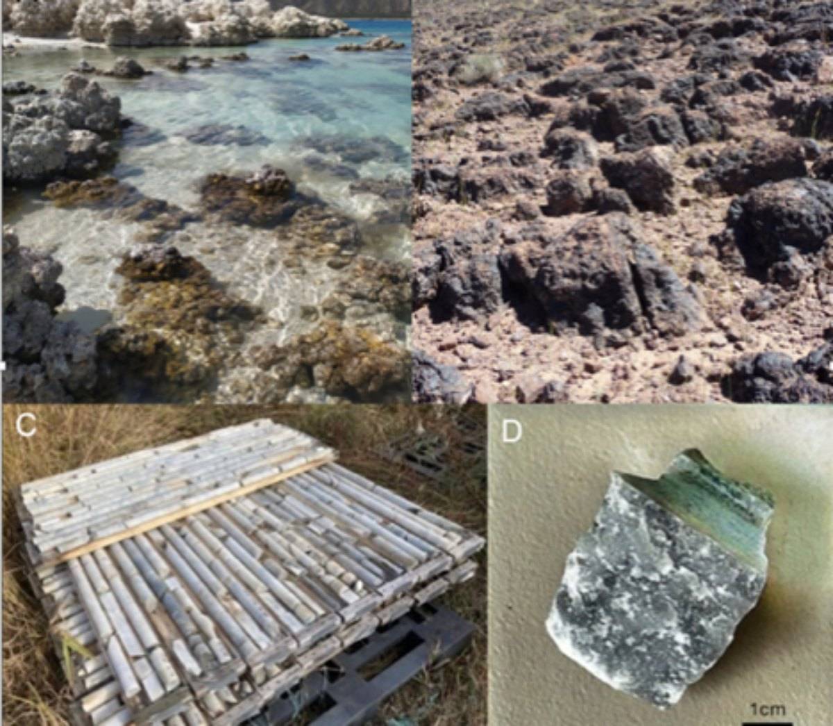 Fragmentos de ADN podrían sobrevivir en rocas de Marte durante más de 100 millones de años