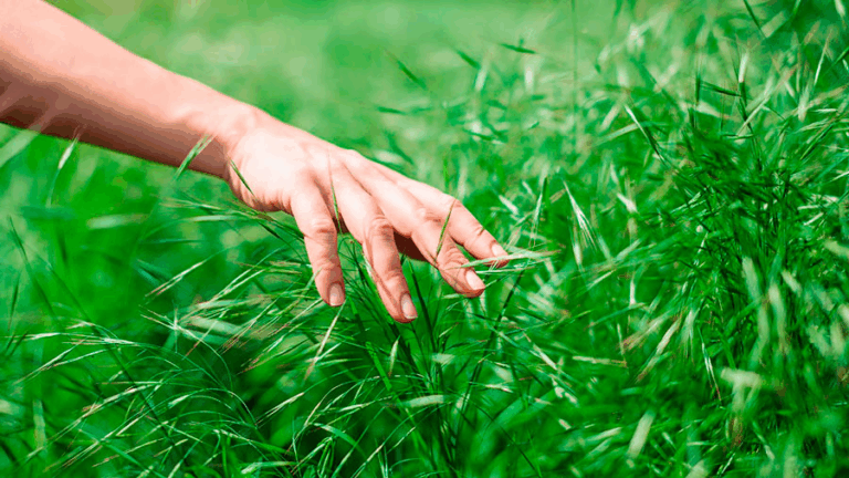 Revelan que los humanos poseemos un séptimo sentido