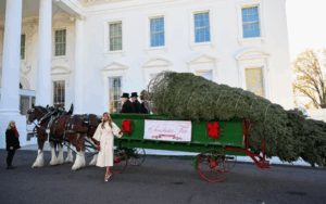 Melania Trump recibió el árbol de Navidad de la Casa Blanca