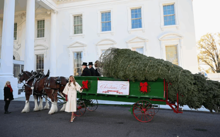 Melania Trump recibió el árbol de Navidad de la Casa Blanca