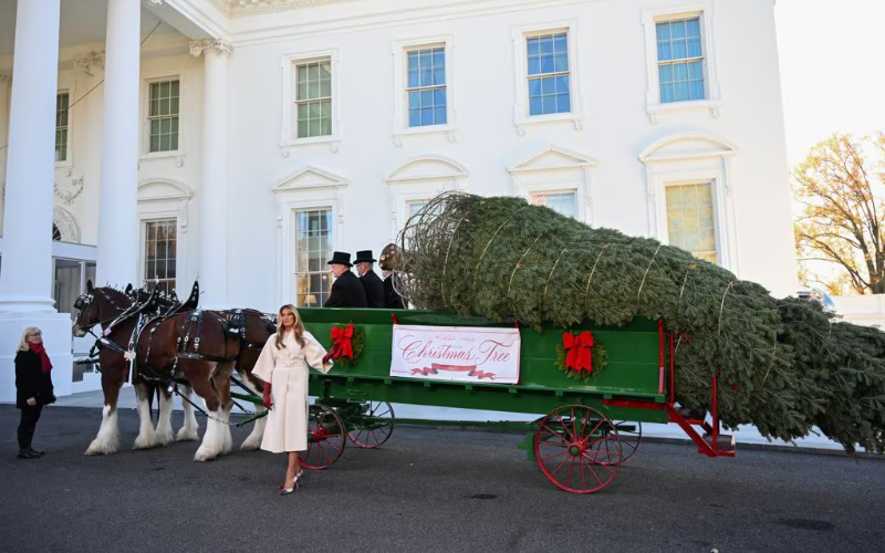 Melania Trump recibió el árbol de Navidad de la Casa Blanca