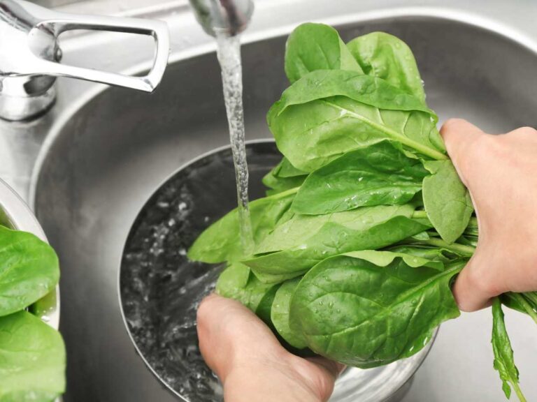 Espinacas con bechamel