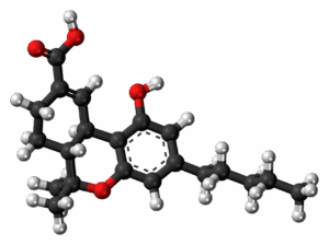 Metabolismo del THC en el organismo: detección, THC‑COOH, efectos y riesgos