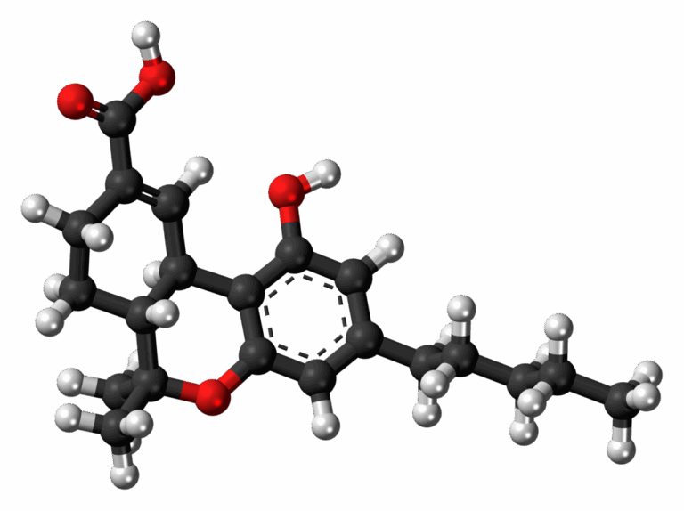Metabolismo del THC en el organismo: detección, THC‑COOH, efectos y riesgos
