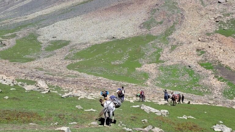 Cómo me moldearon las oraciones de los Salmos de ascenso