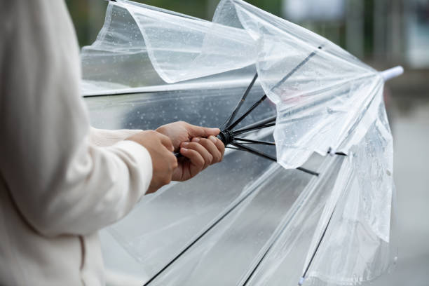 Variabilidad, lluvias y heladas tardías: así cierra la primavera antes del verano