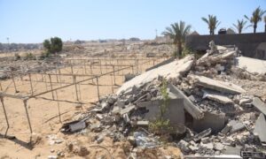 Sector agrícola de Gaza sufre daños irreparables tras asedio israelí