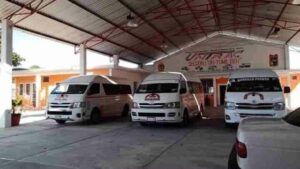 Riviera Maya y Tulum: autobuses renovados y 40 mil clientes diarios