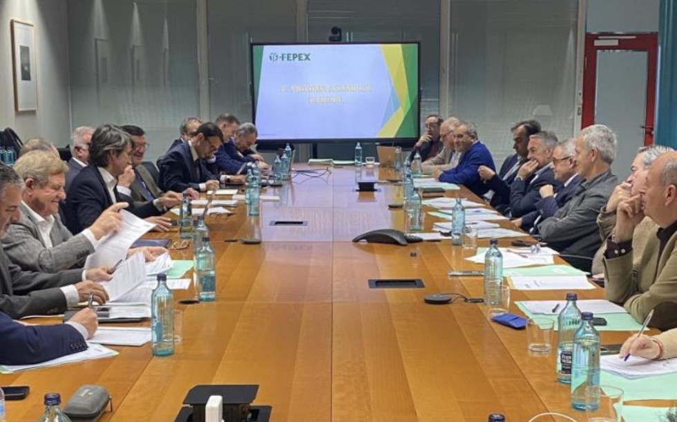 FEPEX advierte sobre la «renacionalización» de la PAC y los efectos desiguales de acuerdos con Marruecos y Mercosur FEPEX advierte sobre la «renacionalización» de la PAC y los efectos desiguales de acuerdos con Marruecos y Mercosur