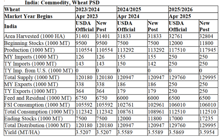 El gobierno de India viene impulsado fuerte la producción de maíz, pero los problemas de escasez están a la vuelta de la esquina
