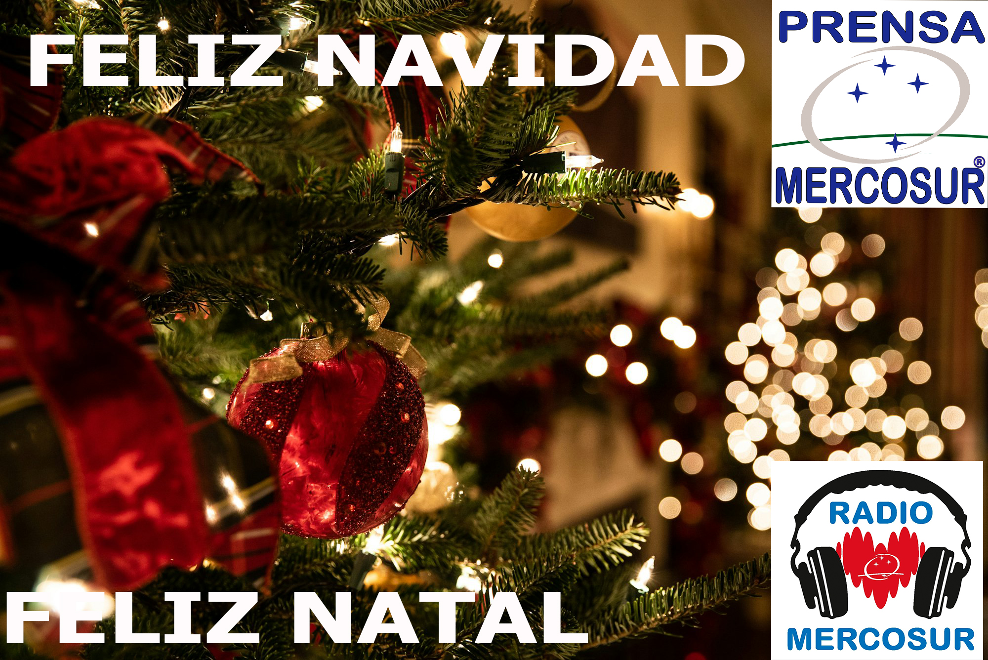 Prensa Mercosur: Celebrando la Navidad y el Cierre de un Año Extraordinario