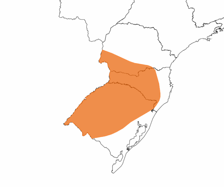 Alerta de tempo severo: Curitiba está na rota de tempestades até esta terça e todo o Paraná